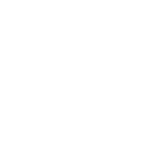 One example of a logo with an icon