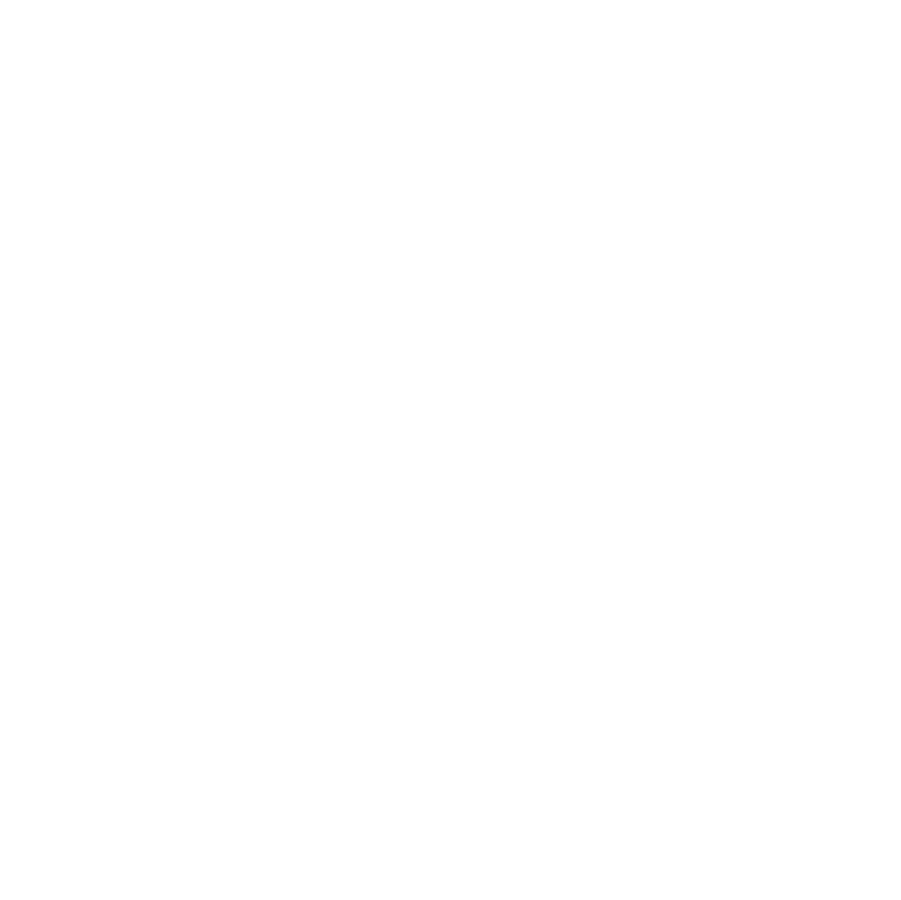 One example of a logo with an icon